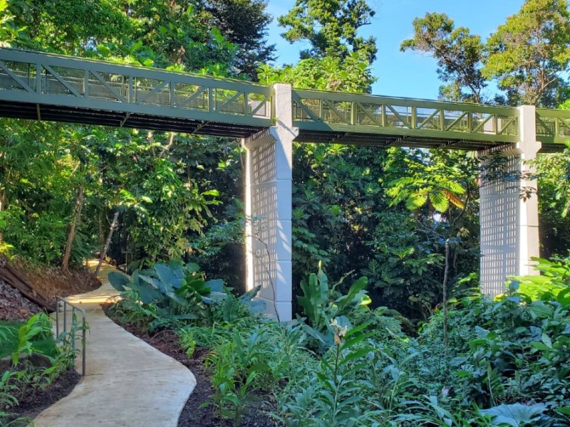 Nuevos cambios invitan a redescubrir El&nbsp;Yunque