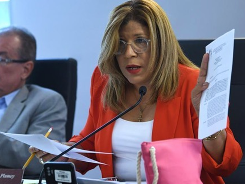 Investigan en vista pública el proceso para la construcción de una rampa para botes en Punta&nbsp;Santiago